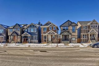 Photo 39: 261 Skyview Ranch Boulevard NE in Calgary: Skyview Ranch Detached for sale : MLS®# A2109080