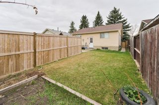 Photo 25: 52 Appletree Road in Calgary: Applewood Park Detached for sale : MLS®# A1216813