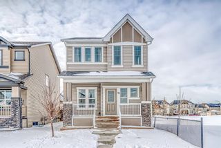 Photo 1: 93 Skyview Ranch Boulevard NE in Calgary: Skyview Ranch Detached for sale : MLS®# A1182298