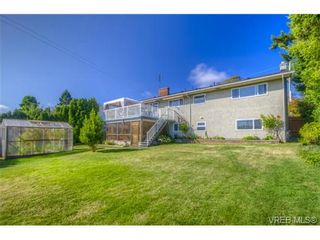 Photo 20: 4149 Torquay Dr in VICTORIA: SE Lambrick Park House for sale (Saanich East)  : MLS®# 683143