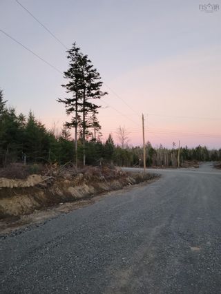 Photo 4: Lot T35 Elliott Road in South Rawdon: 105-East Hants/Colchester West Vacant Land for sale (Halifax-Dartmouth)  : MLS®# 202407811