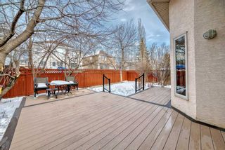 Photo 48: 1305 Strathcona Drive SW in Calgary: Strathcona Park Detached for sale : MLS®# A2118302