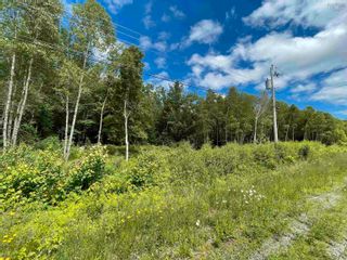 Photo 4: Lot 22-1 Pleasant Drive in Lyons Brook: 108-Rural Pictou County Vacant Land for sale (Northern Region)  : MLS®# 202215225