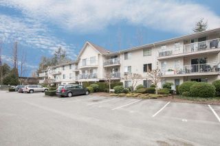 Photo 17: 313 2130 MCKENZIE Road in Abbotsford: Central Abbotsford Condo for sale in "Mckenzie Place" : MLS®# R2152833