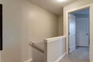 Photo 22: 39 Evanscrest Court NW in Calgary: Evanston Row/Townhouse for sale : MLS®# A2015861