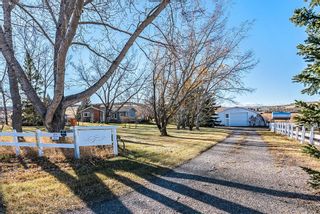 Photo 7: 266049 80 Street W: Rural Foothills County Detached for sale : MLS®# A1156585