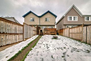 Photo 42: 132 Elgin Meadows View SE in Calgary: McKenzie Towne Semi Detached (Half Duplex) for sale : MLS®# A2127795