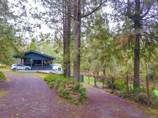 Photo 51: 5001 Sharon Dr in Port Alberni: PA Sproat Lake House for sale : MLS®# 953893