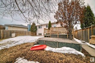 Photo 4: 5112 14 Avenue in Edmonton: Zone 29 House for sale : MLS®# E4377418