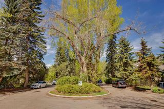 Photo 45: 120 Garden Crescent SW in Calgary: Elbow Park Detached for sale : MLS®# A2133267
