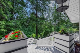 Photo 34: 4621 CAULFEILD Drive in West Vancouver: Caulfeild House for sale : MLS®# R2878252