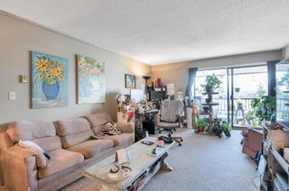 Photo 3: 305 585 S Dogwood St in Campbell River: CR Campbell River South Condo for sale : MLS®# 878093
