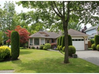 Photo 1: 22122 46 Avenue in Langley: Murrayville House for sale in "Upper Murrayville" : MLS®# F1416909
