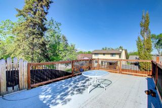 Photo 40: 40 BERWICK Rise NW in Calgary: Beddington Heights Semi Detached for sale : MLS®# A1228960