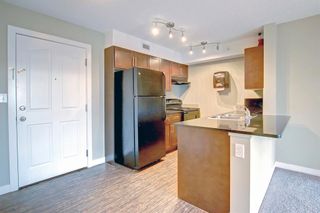 Photo 3: 405 7210 80 Avenue NE in Calgary: Saddle Ridge Apartment for sale : MLS®# A2008178