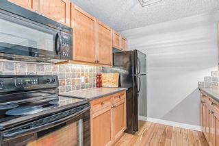Photo 10: 401 930 18 Avenue SW in Calgary: Lower Mount Royal Apartment for sale : MLS®# A2014448