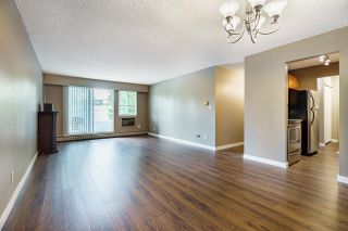 Photo 8: 210 12096 222 Street in Maple Ridge: West Central Condo for sale in "CANUCK PLAZA" : MLS®# R2640993