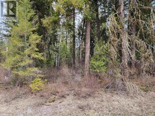 Photo 6: 3263 BOESEM ROAD in Quesnel: Vacant Land for sale : MLS®# R2877614