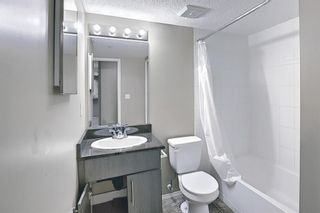 Photo 9: 106 5 Saddlestone Way NE in Calgary: Saddle Ridge Apartment for sale : MLS®# A1085165