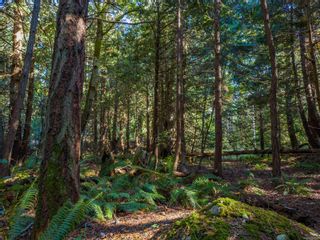 Photo 1: Lot D Conery Cres in Pender Island: GI Pender Island Land for sale (Gulf Islands)  : MLS®# 945164