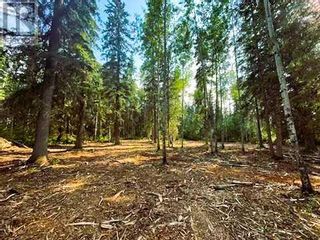 Photo 12: 931 Wolf Trail in Sandy Lake: Vacant Land for sale : MLS®# A2063552