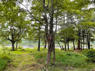 Photo 4: Lot 1 Medway River Road in Bangs Falls: 406-Queens County Vacant Land for sale (South Shore)  : MLS®# 202218830