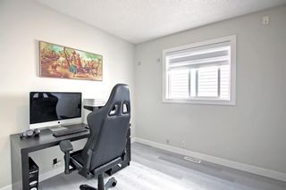 Photo 16: 14 Coral Springs Gardens NE in Calgary: Coral Springs Detached for sale : MLS®# A1224849