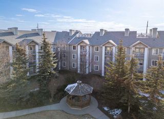 Photo 41: 2316 2600 66 Street NE in Calgary: Pineridge Apartment for sale : MLS®# A2122941