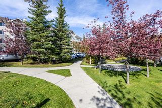 Photo 1: 3115 16320 24 Street SW in Calgary: Bridlewood Apartment for sale : MLS®# A2087232