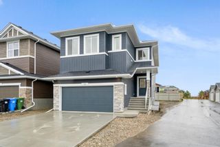Photo 1: 22 Red Sky Terrace NE in Calgary: Redstone Detached for sale : MLS®# A1255835