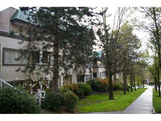 Photo 1: 300 1310 CARIBOO Street in New Westminster: Uptown NW Condo for sale : MLS®# V823901