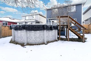 Photo 3: 64 Bridlewood Gardens SW in Calgary: Bridlewood Detached for sale : MLS®# A2098635