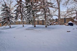 Photo 45: 12 Silvergrove Place NW in Calgary: Silver Springs Detached for sale : MLS®# A2103676
