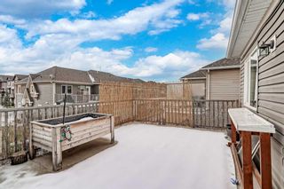 Photo 25: 3120 Windsong Boulevard SW: Airdrie Row/Townhouse for sale : MLS®# A2097911
