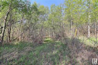 Photo 2: : Rural St. Paul County Rural Land/Vacant Lot for sale : MLS®# E4295728