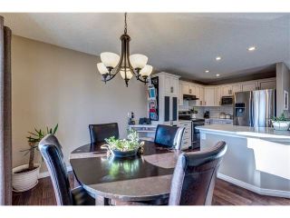 Photo 12: 41 ROYAL BIRCH Crescent NW in Calgary: Royal Oak House for sale : MLS®# C4041001