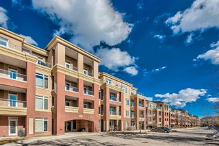 Main Photo: 317 2 Hemlock Crescent SW in Calgary: Spruce Cliff Apartment for sale : MLS®# A2129266