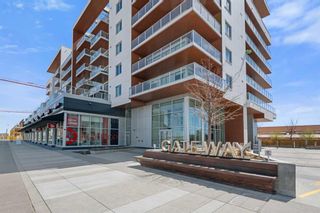 Main Photo: 309 8445 Broadcast Avenue SW in Calgary: West Springs Apartment for sale : MLS®# A2131568