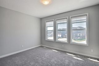 Photo 32: 163 Nolancrest Rise NW in Calgary: Nolan Hill Detached for sale : MLS®# A1125952