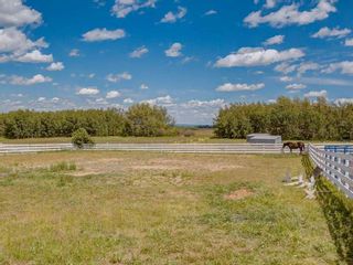 Photo 5: 8070 266 Avenue W: Rural Foothills County Detached for sale : MLS®# A2096110