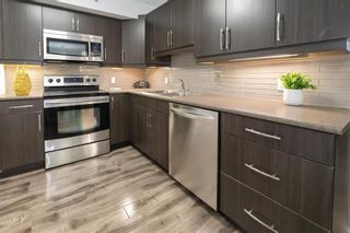Photo 14: 420 25 Bridgeland Drive North in Winnipeg: Bridgwater Forest Condominium for sale (1R)  : MLS®# 202225607