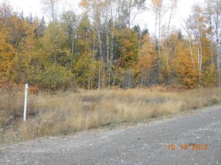 Photo 5: 3 2481 Squilax Anglemont Road in Lee Creek: Land Only for sale : MLS®# 10055686