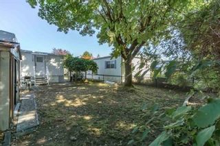 Photo 8: 62 7790 KING GEORGE Boulevard in Surrey: East Newton Manufactured Home for sale in "CRISPEN BAYS" : MLS®# R2867722