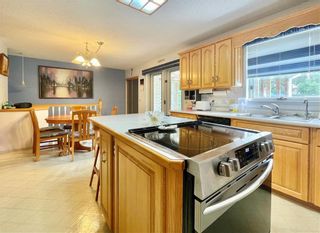 Photo 7: 143 Charles Street in Laurier: R31 Residential for sale (R31 - Parkland)  : MLS®# 202318773
