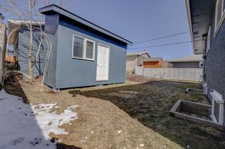 Photo 31: 4603 Namaka Crescent NW in Calgary: North Haven Detached for sale : MLS®# A2120610