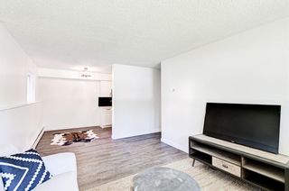Photo 7: 45 366 94 Avenue SE in Calgary: Acadia Apartment for sale : MLS®# A1237610