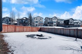 Photo 45: 222 Royal Birch Bay NW in Calgary: Royal Oak Detached for sale : MLS®# A1080863