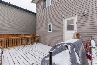 Photo 29: 550 LUXSTONE Place SW: Airdrie Detached for sale : MLS®# C4293156