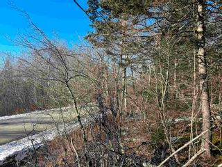 Photo 11: Lot K1 Greenfield Road in Greenfield: Kings County Vacant Land for sale (Annapolis Valley)  : MLS®# 202400528