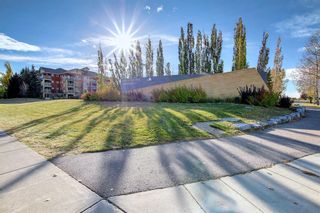 Photo 46: 317 5115 Richard Road SW in Calgary: Lincoln Park Apartment for sale : MLS®# A1179249